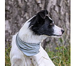 verkoelende halsdoek Frostie