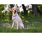 verkoelende halsdoek Frostie