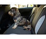 veiligheidsgordel voor honden