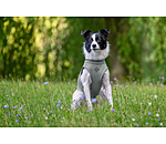 verkoelend shirt Frostie