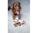 hondenspeelgoed eekhoorn