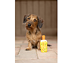 piepspeelgoed IJslolly