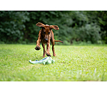 hondenspeeltje Octopus