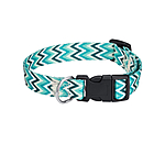 halsband en riem set zap