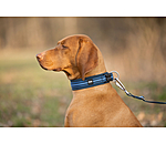 Sugar Dog halsband Comfort Fit