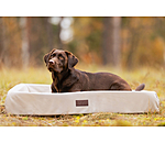 Sugar Dog hondenbed Komet