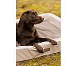 Sugar Dog hondenbed Komet