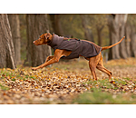 teddyfleece hondenmantel Frido