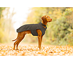honden ondertrek- en fleecetrui Basic