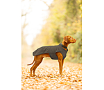 honden ondertrek- en fleecetrui Basic