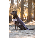 honden ondertrek- en fleecetrui Basic