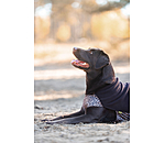 honden ondertrek- en fleecetrui Basic