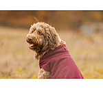 honden ondertrek- en fleecetrui Basic