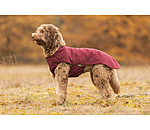 honden ondertrek- en fleecetrui Basic