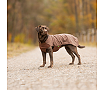 honden ondertrek- en fleecetrui Basic