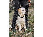 functionele outdoorbroek. Northpine