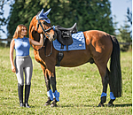 peesbeschermers Sophistication