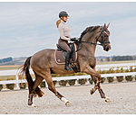 Mesh peesbeschermers Glitter, voorbenen
