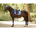 functionele peesbeschermers Mesh Technology (voorbenen)