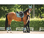 functionele peesbeschermers Mesh Technology (voorbenen)