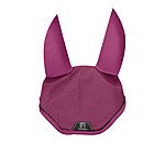 oornetje Mesh-technologie