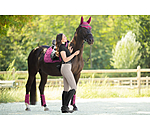 oornetje Mesh-technologie