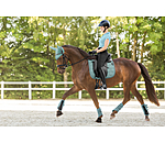 oornetje Mesh-technologie