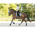 oornetje Mesh-technologie