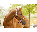 anatomisch halster Sophistication