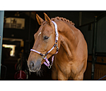 anatomisch halster Sophistication