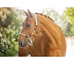 anatomisch halster Sophistication