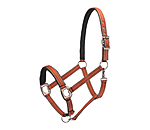 halster Swiss Design II