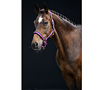 halster Swiss Design II