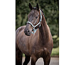 halster Swiss Design II