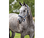 halster Swiss Design II