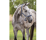 halster Swiss Design II