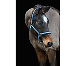 halster Essential II