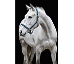 halster Twinkle