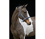 halster Twinkle