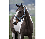 halster Twinkle