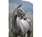 halster Twinkle