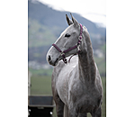 halster Twinkle