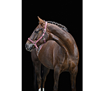 halster Twinkle
