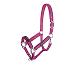 halster Mesh-Technology