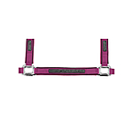 halster Mesh-Technology