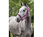 halster Mesh-Technology