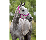 halster Mesh-Technology