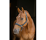 halster Twotone & Crystal