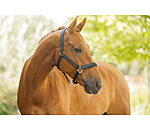 halster Twotone & Crystal