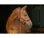 halster Twotone & Crystal